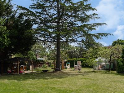 Picture 22